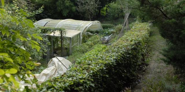 Jardin Du Coteau De La Croute Coutances (4)