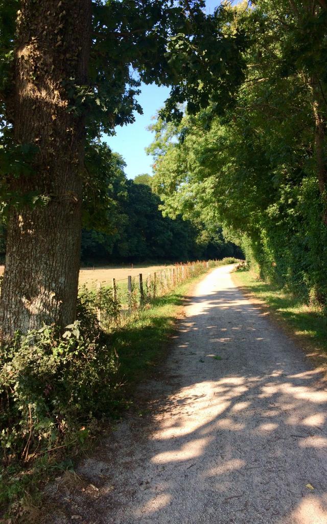 Voie Verte Randonneur Coutances et orval