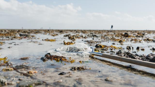 Vue sur l'estran pendant une marée basse à Agon-Coutainville