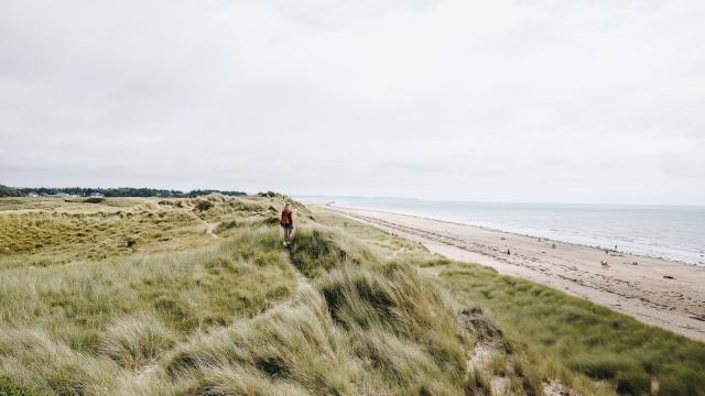 Au coeur de la nature à Coutances mer et bocage