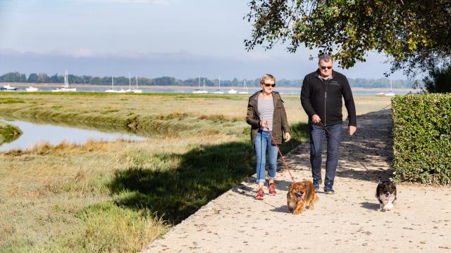 Balade en bord de mer à Regnéville sur Mer