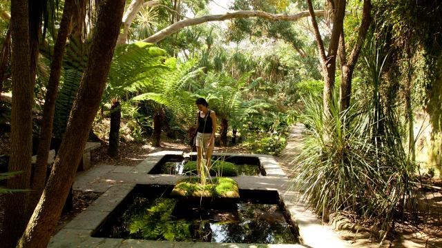 Jardin botanique de Vauville, La Hague, Cotentin