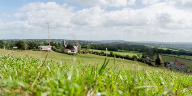 Campagne aux alentours de l'abbaye de Hambye