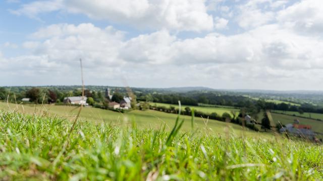 Campagne aux alentours de l'abbaye de Hambye