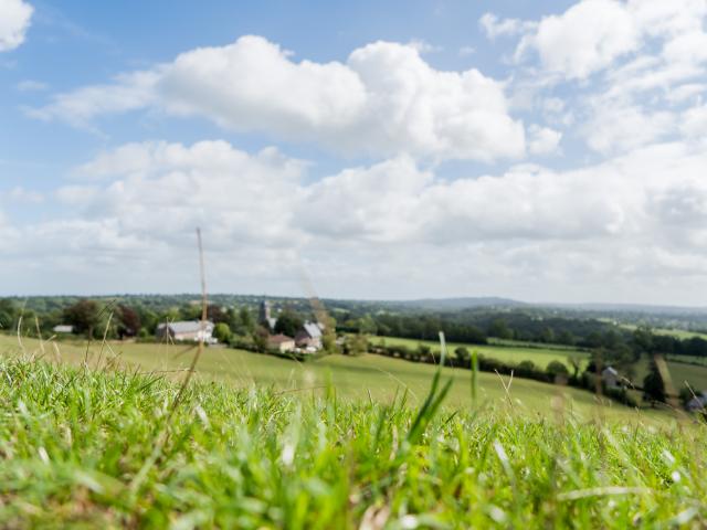 Campagne aux alentours de l'abbaye de Hambye