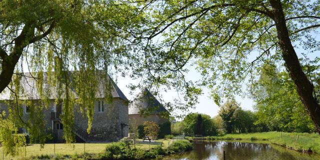 Gite de M. Pavan La Synchronicite Gite Ecureuil à Vaudrimesnil