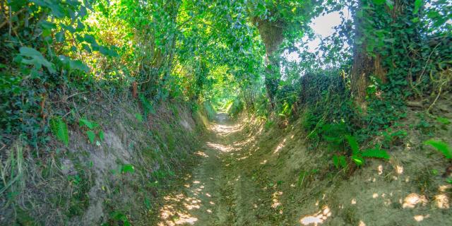 Les chemins creux de Coutances mer et bocage