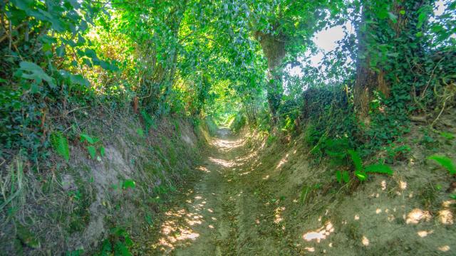 Les chemins creux de Coutances mer et bocage