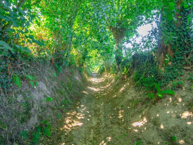 Les chemins creux de Coutances mer et bocage