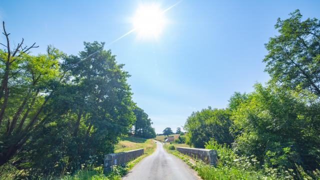 Campagne autour de Hambye