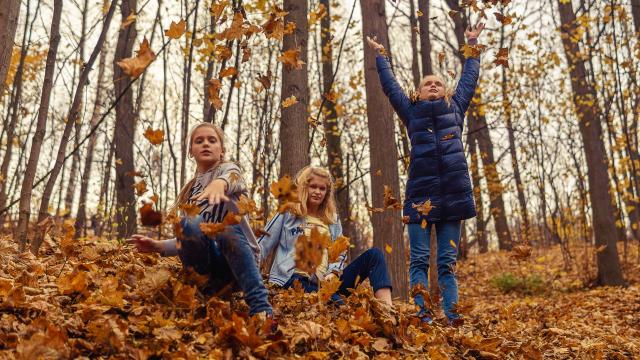 EN famille en automne à Coutances mer et bocage