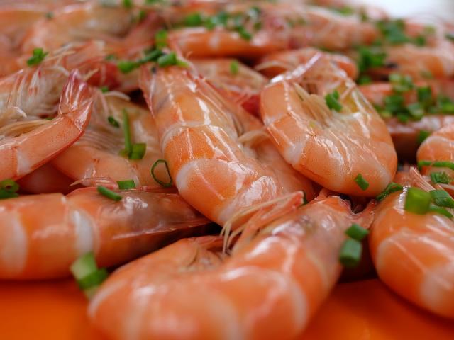 Crevettes roses coutances tourisme plateau de fruits de mer