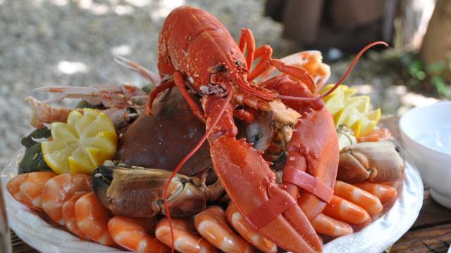 Plateau de fruits de mer