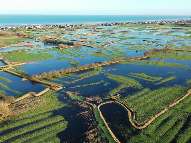 Saint Marcouf de Lisle marais du Cotentin