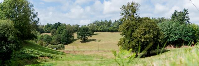 bocage Normand autour de Coutances