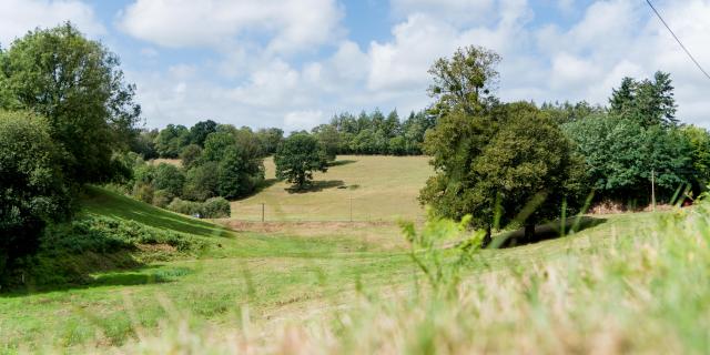 bocage Normand autour de Coutances