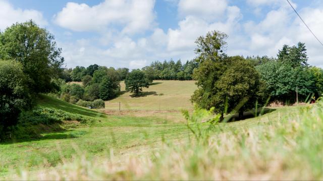 aymeric-picot-campagne-02106.jpg