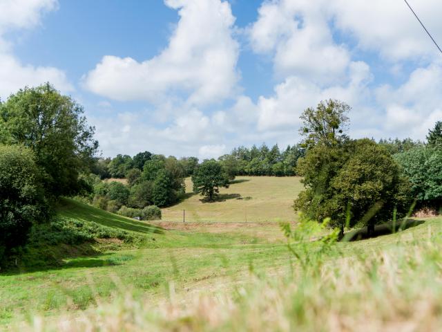 bocage Normand autour de Coutances