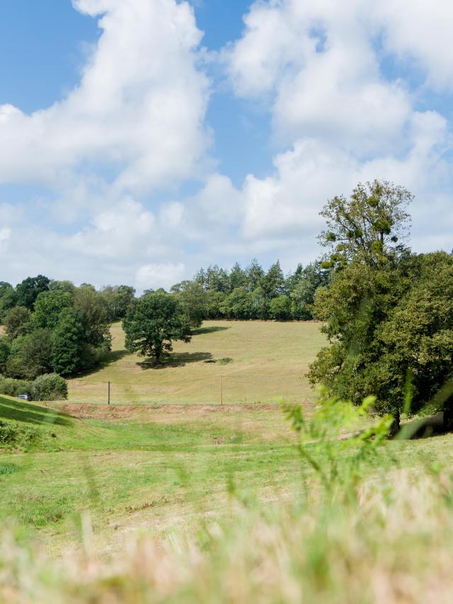 aymeric-picot-campagne-02106.jpg