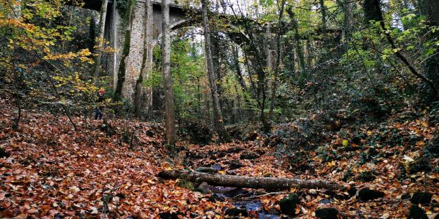 La Vallee Des Peintres A Carolles