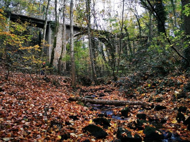 La Vallee Des Peintres A Carolles