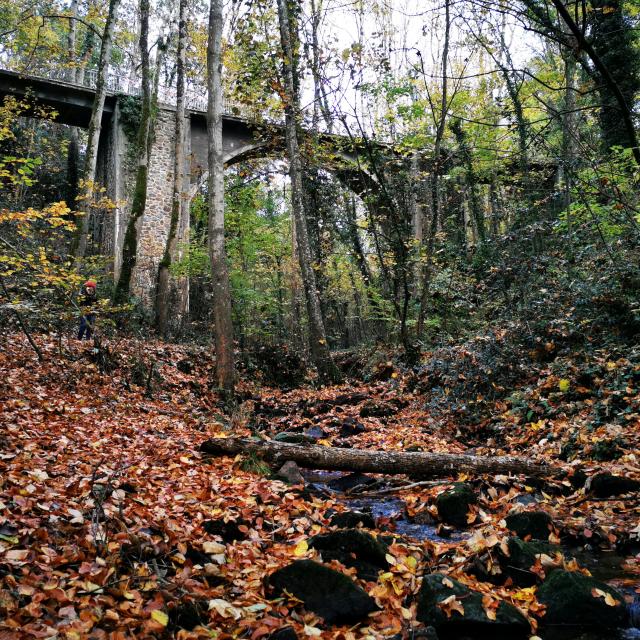 La Vallee Des Peintres A Carolles