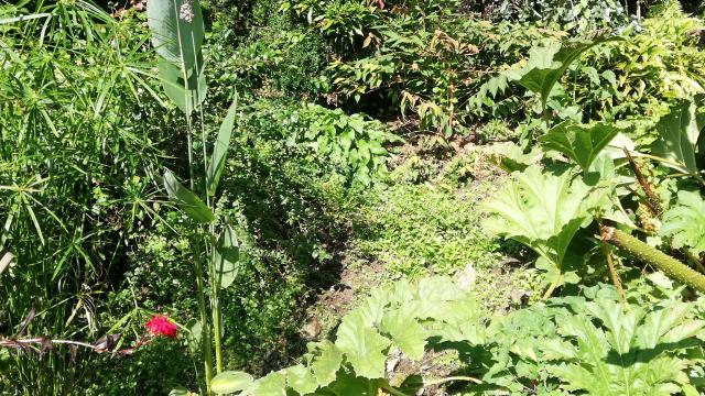 Lieux De Visite Coutances Alline Jardin Du Couteau De La Croûte (3)