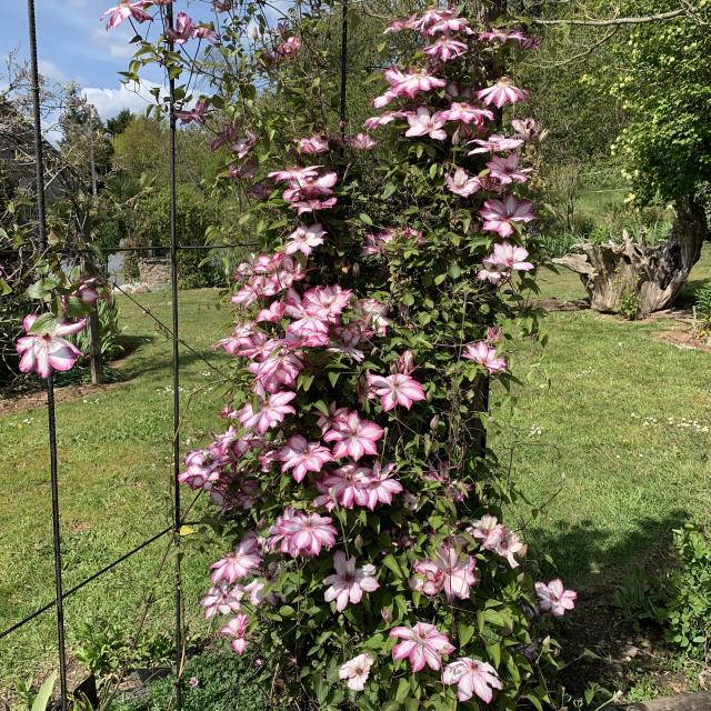 Lieux De Visite Ouville Lecomte Le Jardin Caché (3)