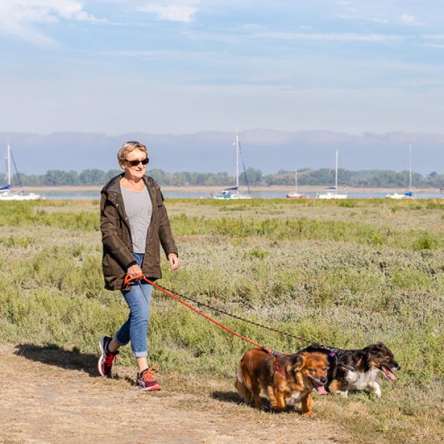 Prmenade avec son chien à Regnéville-sur-Mer