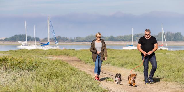 Toutourisme à Coutances tourisme vacances avec votre chien - Regnéville sur Mer