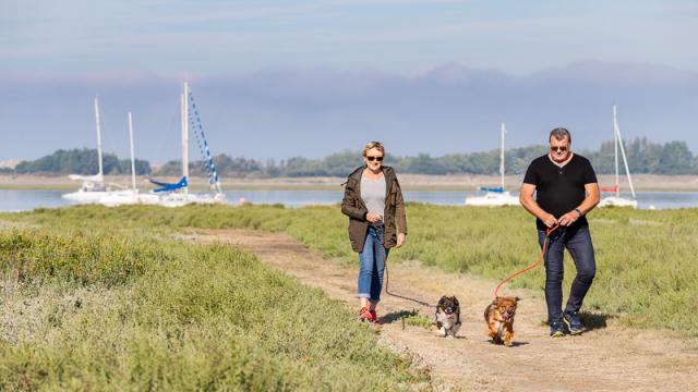 Toutourisme à Coutances tourisme vacances avec votre chien - Regnéville sur Mer