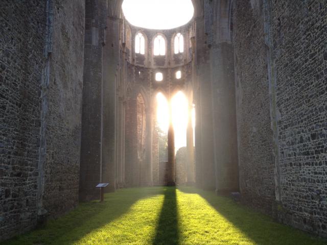 Abbaye de Hambye insolite