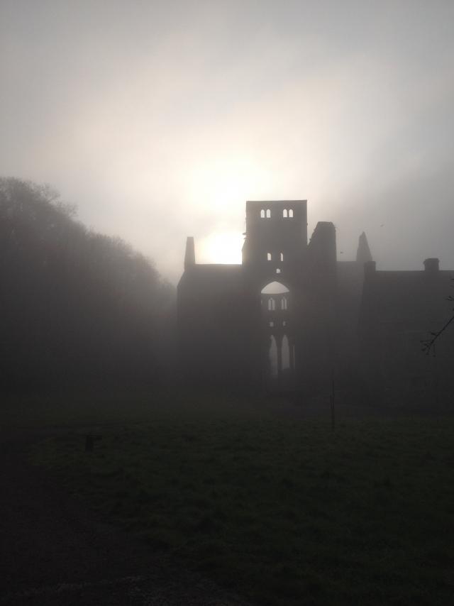 Brume du matin à l'Abbaye de Hambye