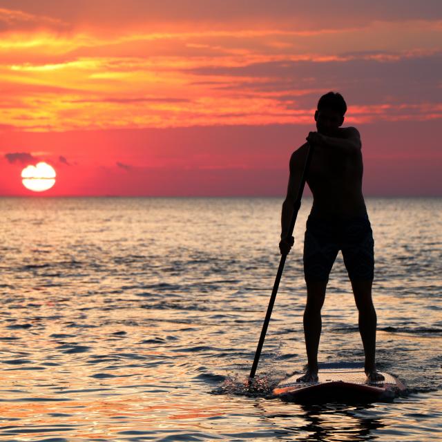 Stand up paddle