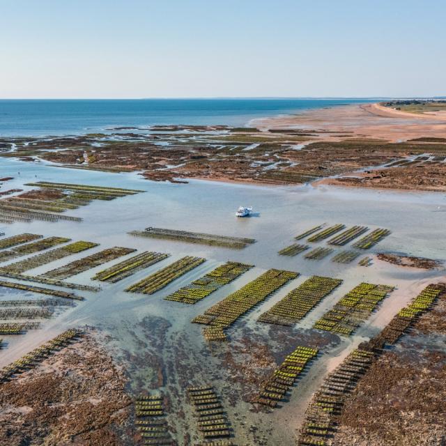 Les Parcs /Blainville sur Mer