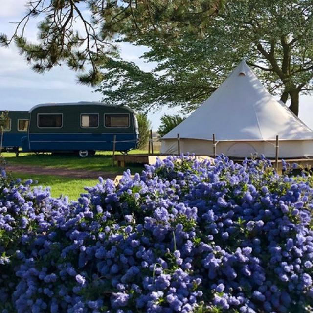 Camping Du Havre De Regneville Sur Mer (5)