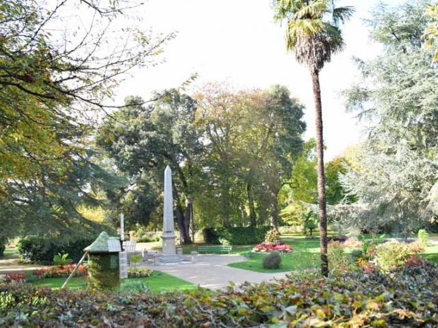 Chene Vert Jardin Des Plantes Coutances (1)