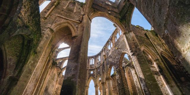 L'Abbaye d'Hambye