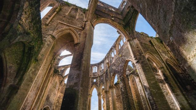 L'Abbaye d'Hambye