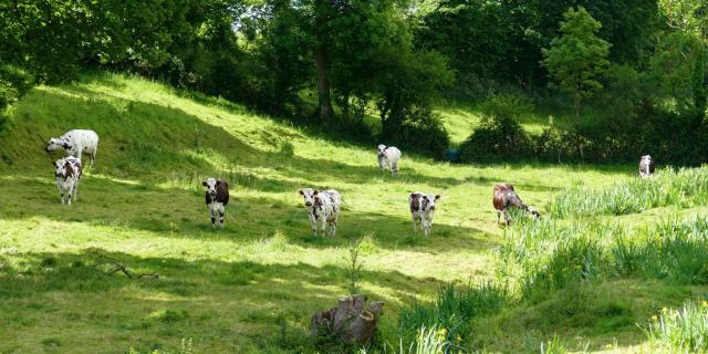 Bocage ©coutances Tourisme