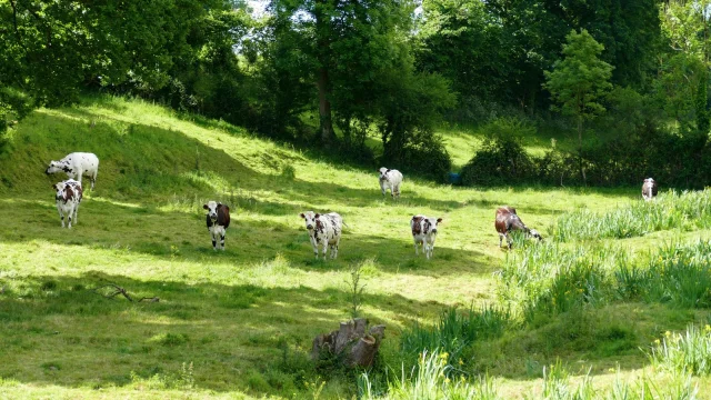 Bocage ©coutances Tourisme