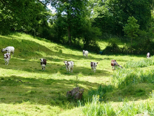 Bocage ©coutances Tourisme