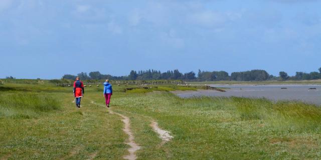 Randonnée Regneville Sur Mer