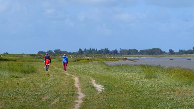 Randonnée Regneville Sur Mer