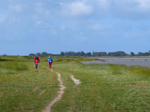 Randonnée Regneville Sur Mer