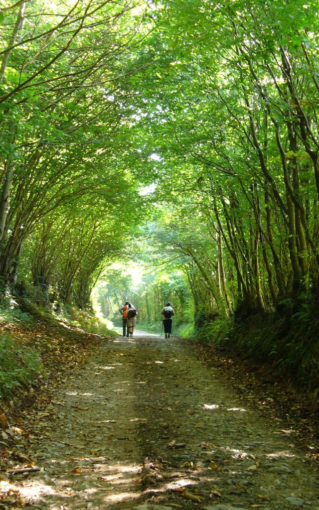 Marcheurs sur les chemins du Mont Saint Michel