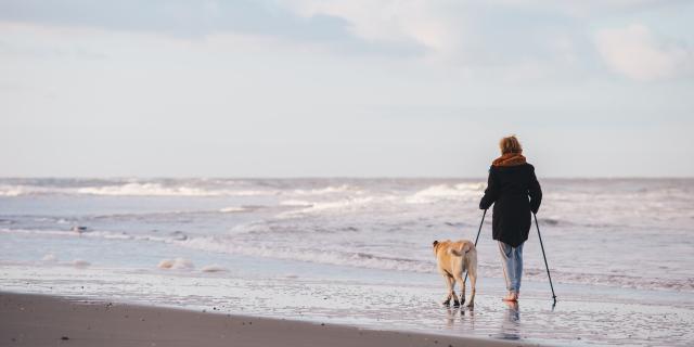 Promenade Sur La Plage Avec Un Chien