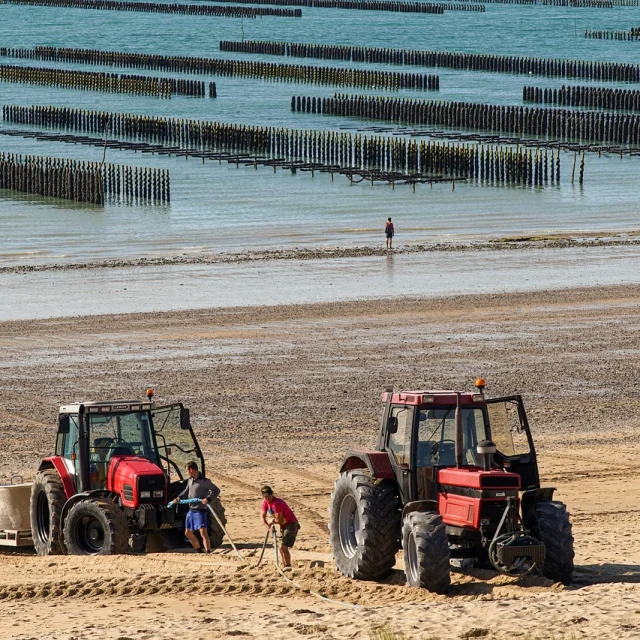 Travailleurs De La Mer Moules De Bouchots