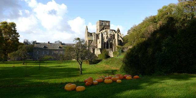 Automne A Labbaye De Hambye