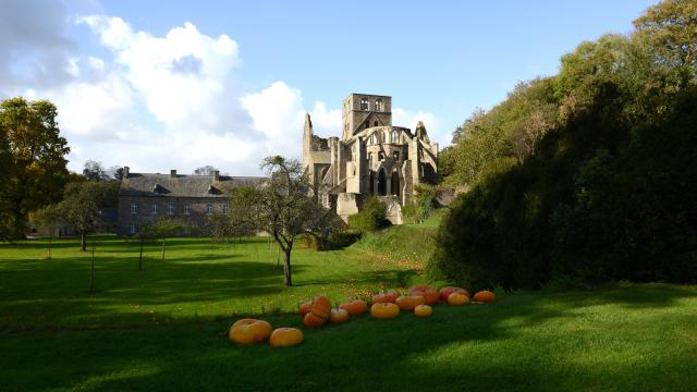 Automne A Labbaye De Hambye